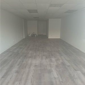 Meet your Posher, Freddy